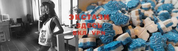 сатива Беломорск