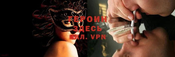 сатива Беломорск