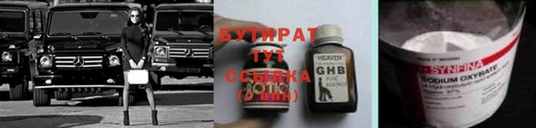 сатива Беломорск