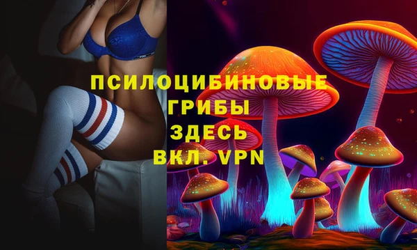 сатива Беломорск