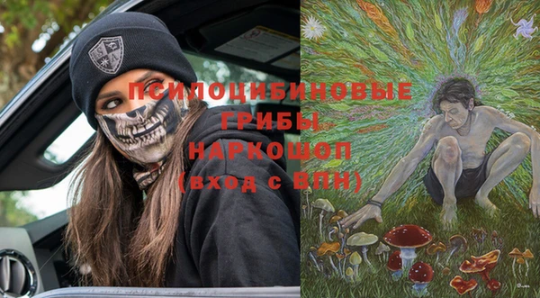 spice Белокуриха