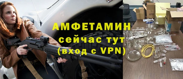 сатива Беломорск