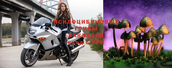 spice Белокуриха
