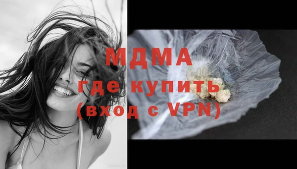 сатива Беломорск